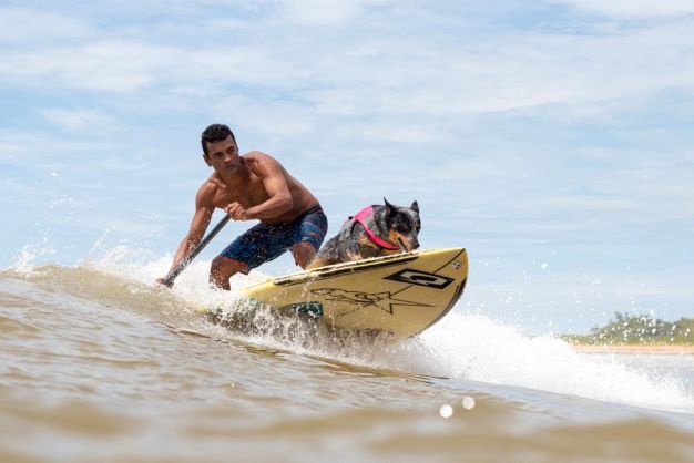 natal-recebe-surf-dog-no-sabado-dia-27-na-praia-de-miami