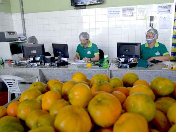 mercados-e-lojas-da-ceasa-rn-irao-funcionar-normalmente-nos-dias-6-e-7-de-janeiro