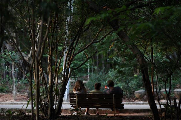 idema-e-jornada-no-bosque-lancam-concurso-de-fotografia