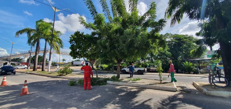 prefeitura-de-parnamirim-intensifica-servicos-de-poda-em-canteiros-centrais