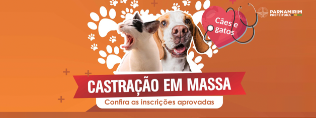 confira-as-inscricoes-aprovadas-para-castracao-de-caes-e-gatos