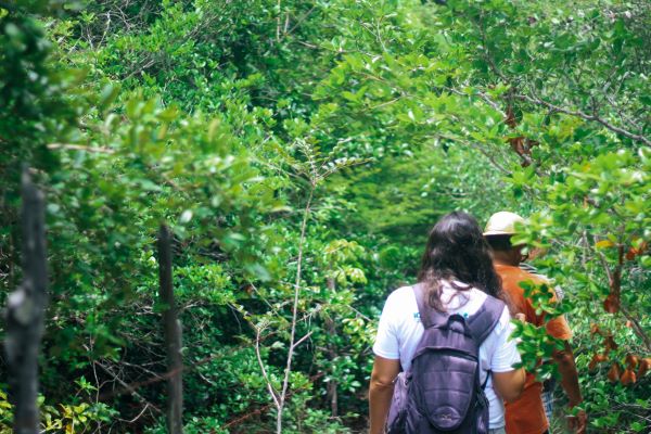 cajueiro-parque-das-dunas-e-pemp-funcionam-normalmente-na-quarta-feira-1o