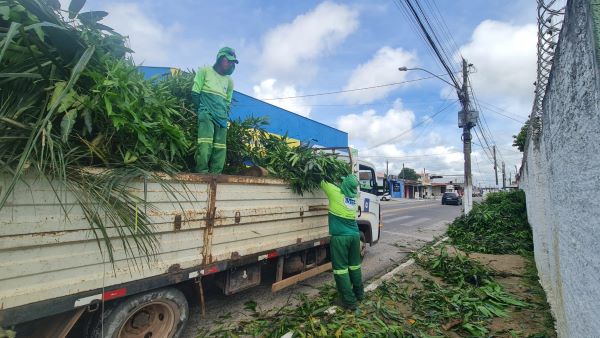 recolhimento-de-poda-e-entulhos-aprenda-a-solicitar-o-servico